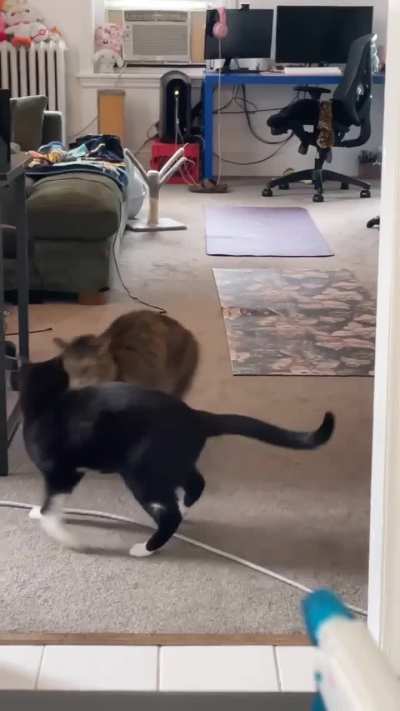 sneak attack!