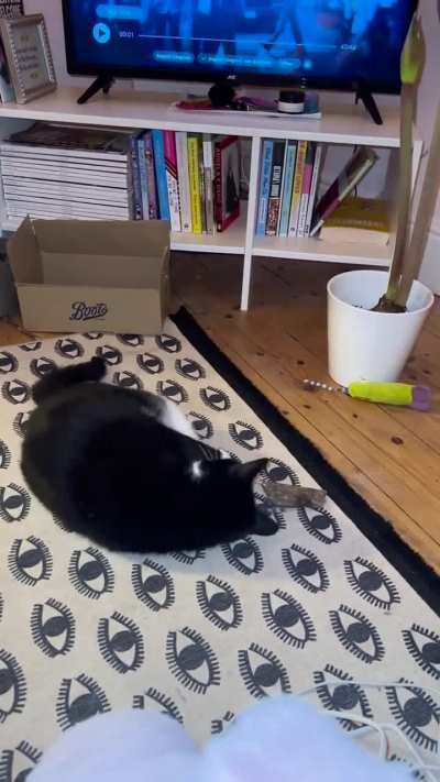 Recently introduced a toy box so he now carefully selects his toys (i.e. he pulls them out one by one)