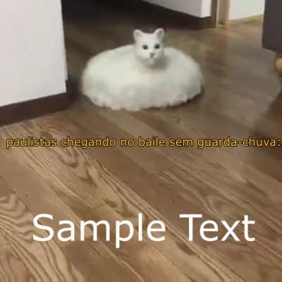 Roomba Cat