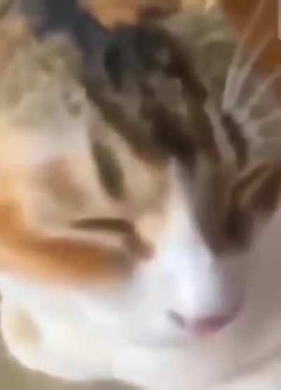 BOO