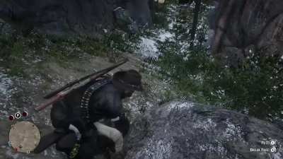 Some horses don't like living