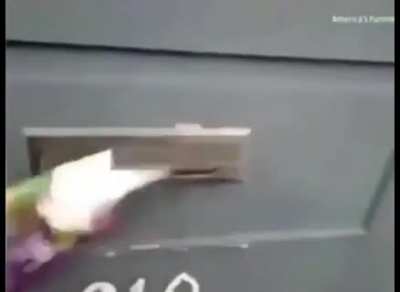 Awkward delivery. Kitty doesn't want mail, kitty demands human sacrifice..