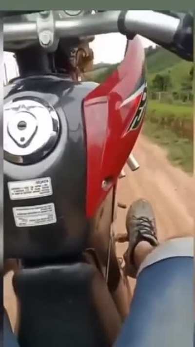 "Ui"