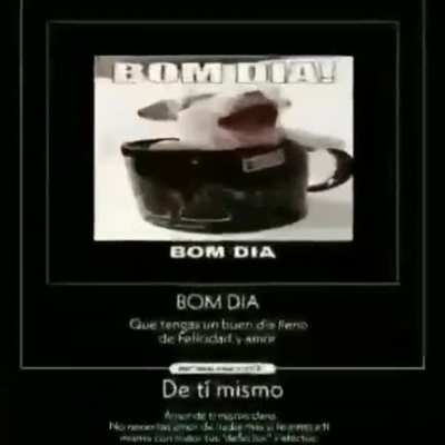 Perro tasa