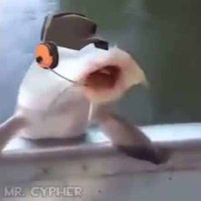 hehe funny scunt
