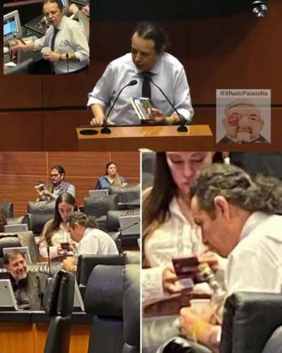 El diputado borracho de morena, Hirepan Maya, "Que florezcan las semillas del socialismo en todo el mundo y en este senado". &iquest;Ya les qued&oacute; claro chairiza imb&eacute;cil o vamos a seguir fingiendo?