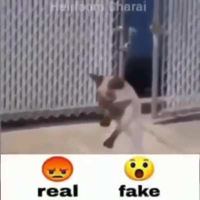 😡