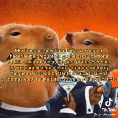 Kkkkkk