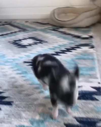 Happy dance