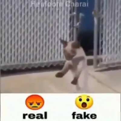 Eai MUQUINHA?