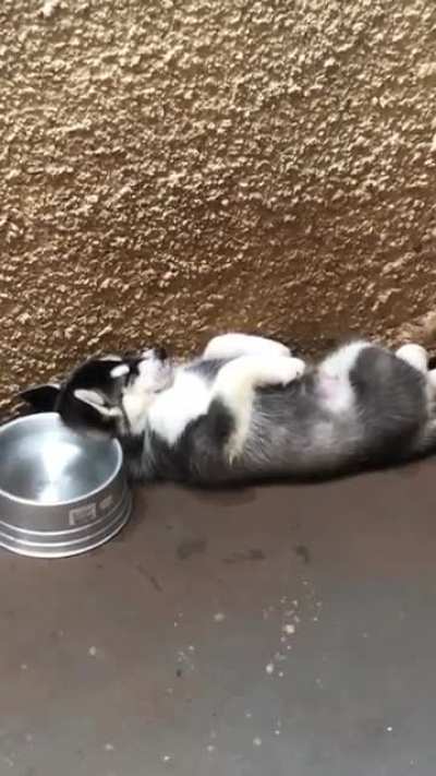 ZzzzZzzzzZzz