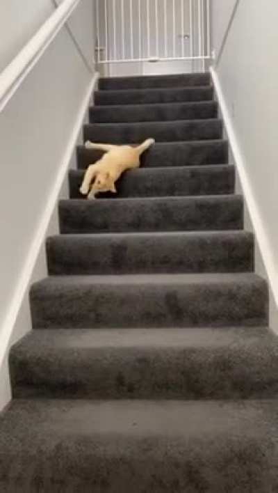 Relatable mood