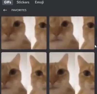 kitty