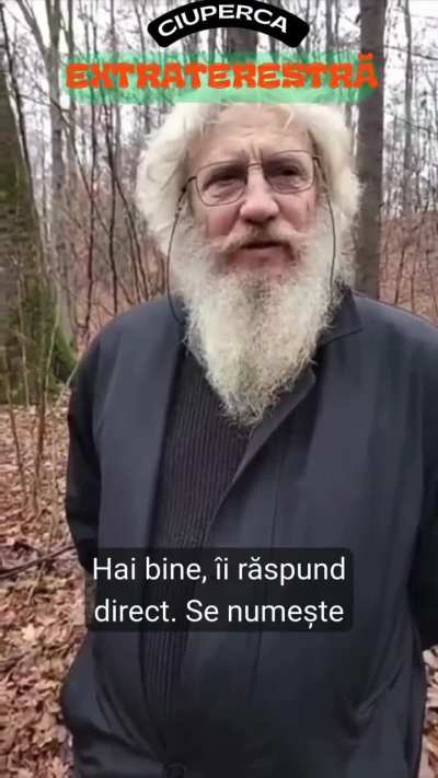 Psilocybe semilanceata- Liberty Cap sau ciuperca extraterestră pe rom&acirc;nește