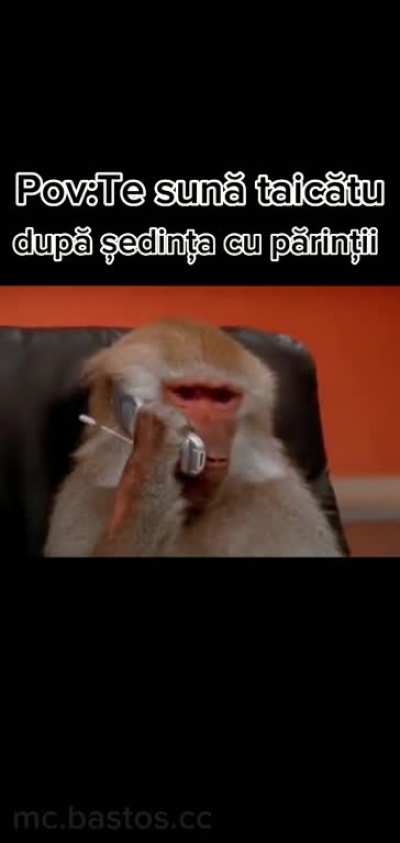 Postare sponsorizatÄ de mc.bastos.cc