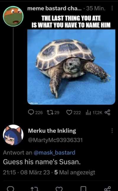 Thou shall not feast upon ye turtle