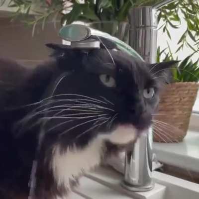 1 января