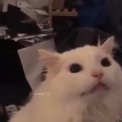 Give me a scream