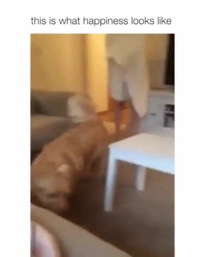 He's living his best life