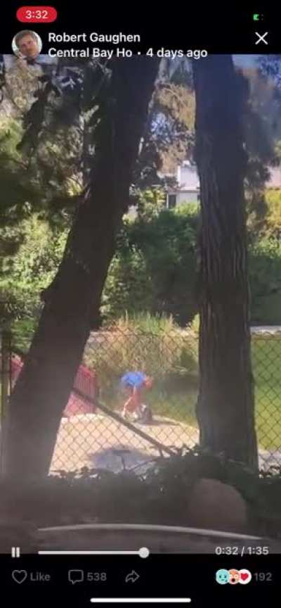 Guy witnessed stealing a duck from a neighborhood pond. Dept of Game and Wildlife are still looking for him.