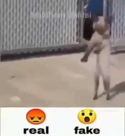 😲 primera vez que uso reddit, vengo del discord :