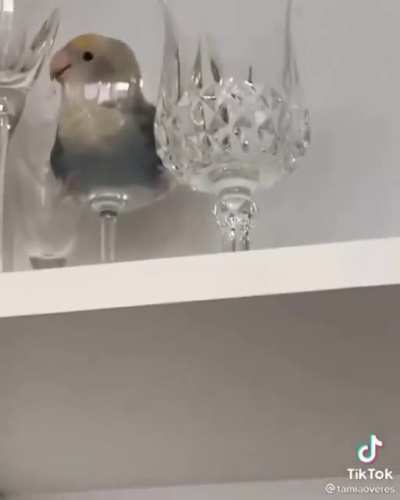Is this a way to party?