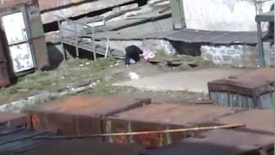 Crowd saves woman from a polar bear