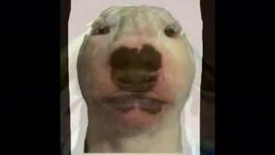 😭😕😳️😨☹️😰😤🙁😤🤔🙁😤🤭🥺🤭😤😩😤😨🥺😤😩😨😭🤤🧑🏻🧑🏻&zwj;🦲🧑🏻&zwj;🦲🧑🏻&zwj;🦲🤘🤟🤟🤘🤟🤘🤟🤘🤘🤘👌🤟🤟🤘🤘🤘👌👌👇🦾walter🥰😛😋😋😋😛😋