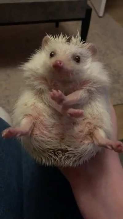 A little ball of cuteness 🥰