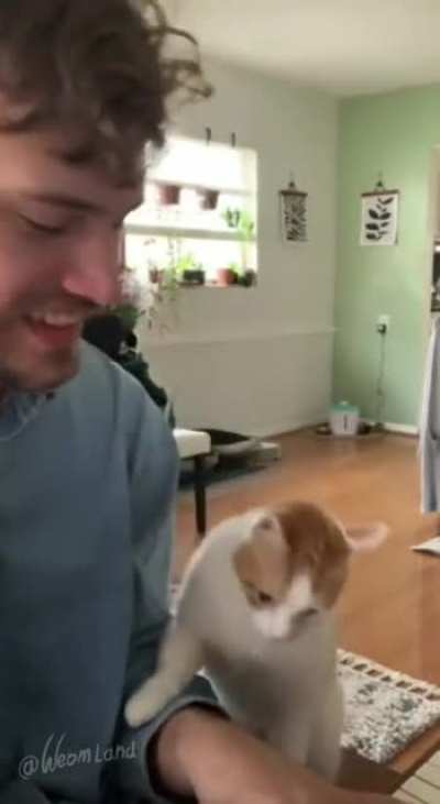 Cat is utterly infatuated with her handsome owner