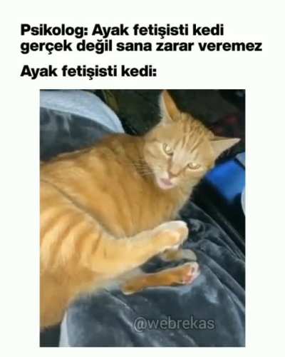 nası da dil atıyo