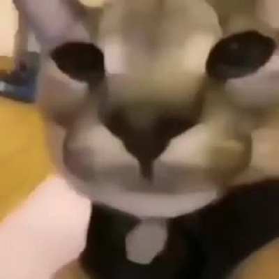 🤣