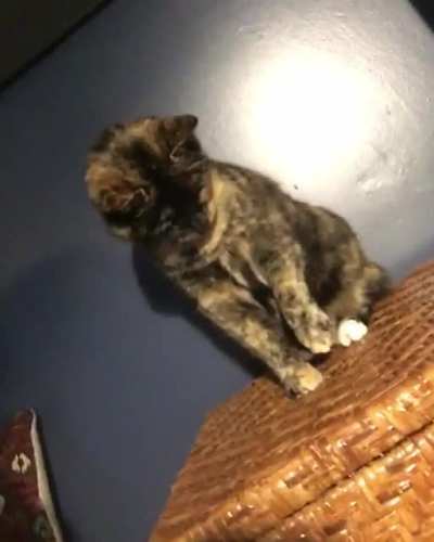 naA-
