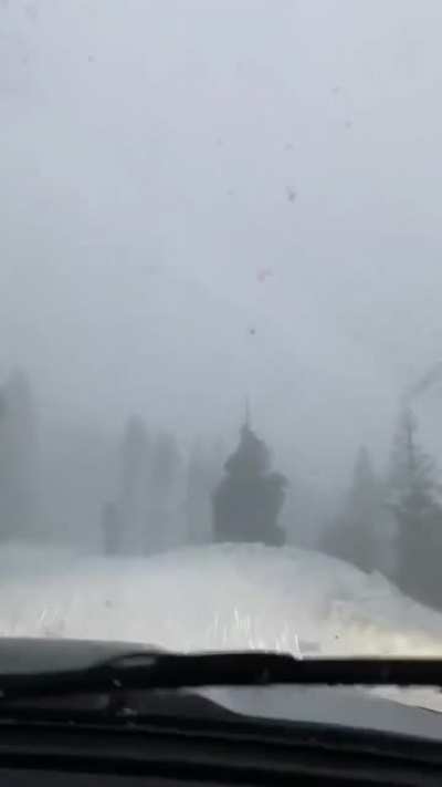 Winter Wonderland!
