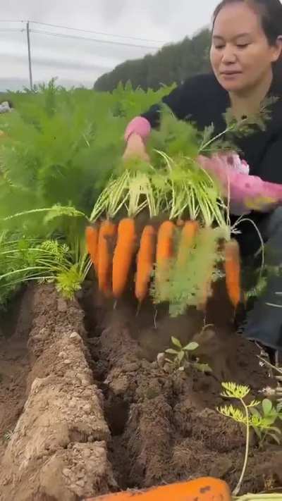 Thank you Nature