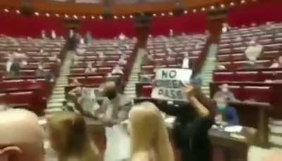 Chaos erupts in the Italian parliament over new "Green Pass" rules. Italy has decided to impose various restrictions on all unvaccinated persons that do not hold the country&rsquo;s "Green Pass", which is an extension of the EU Digital COVID19 Certificate.