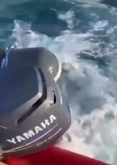 Boating mishap