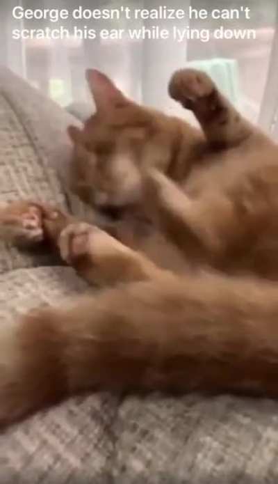 The application &ldquo;BackLeg.exe&rdquo; has been corrupted and should be reinstalled