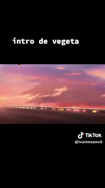Vegeta Saga
