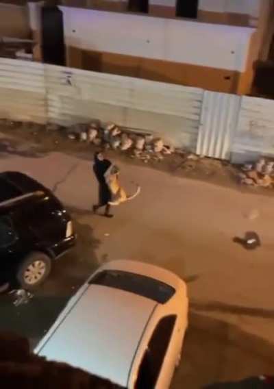 Lady's pet lion gets out and she carries it home like a house cat...