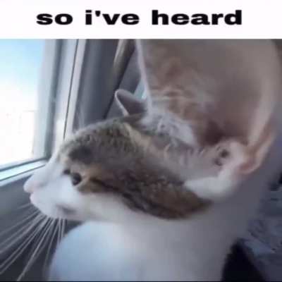 he hears