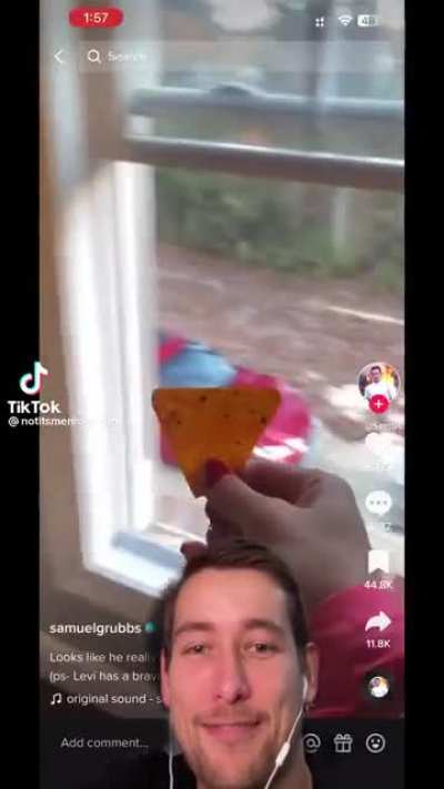 Baby Doritos