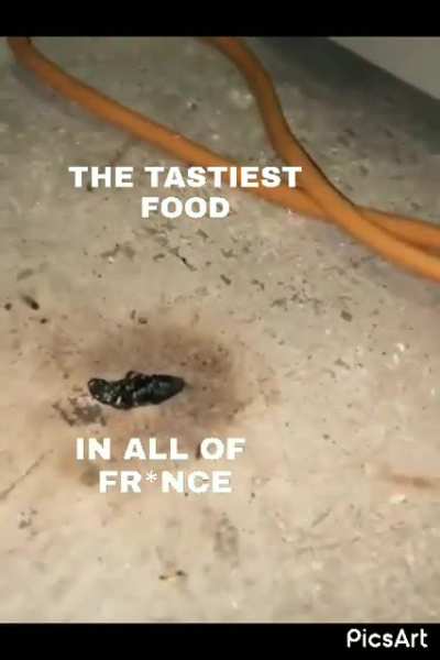 Fr*nce🤮