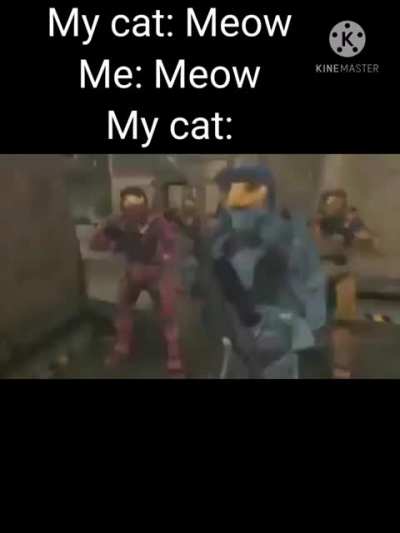 man, i dont like cats
