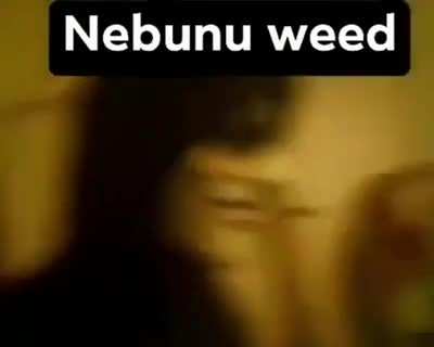 Nebunu Weed cover by bogdy