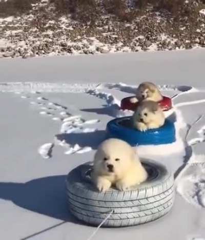Fun in the Snow