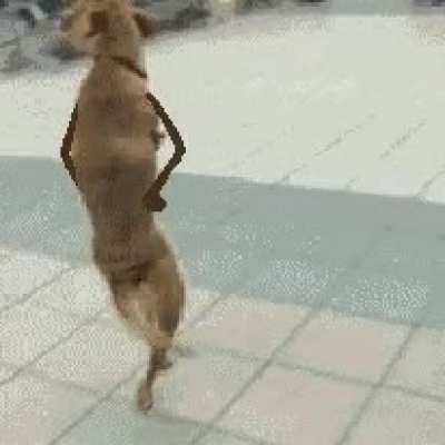 Jazz hands!