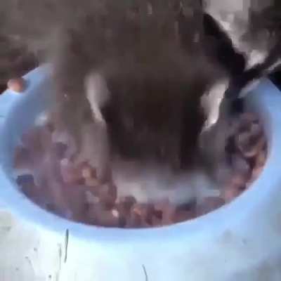 When eating is more important than breathing 😂