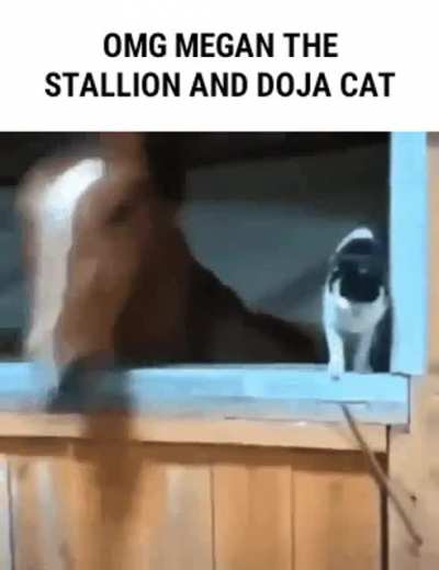Rule