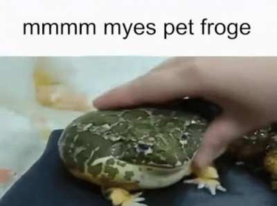 Bi🐸irl